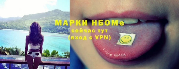 индика Алзамай