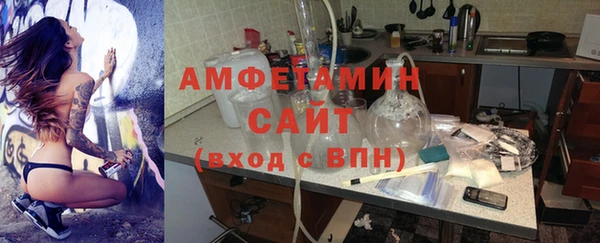 индика Алзамай