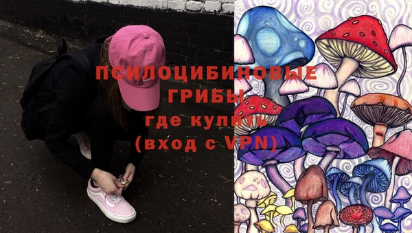 индика Алзамай