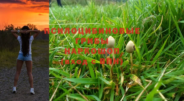 индика Алзамай