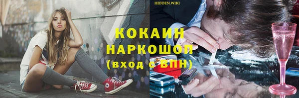 тгк Сатка