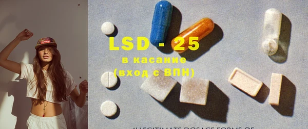 индика Алзамай
